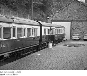 CUL3686