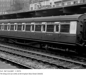 CUL3687