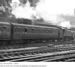 CUL3695