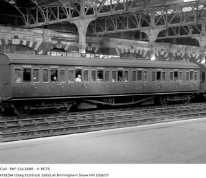 CUL3698