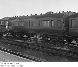 CUL3703
