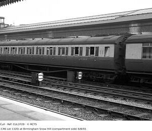 CUL3729