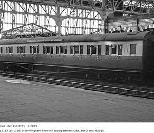 CUL3731