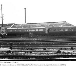 CUL3771