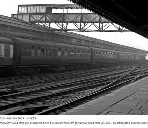 CUL3803