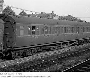 CUL3817