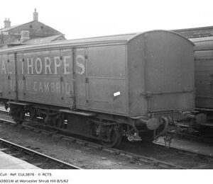 CUL3876