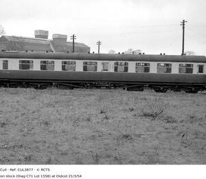 CUL3877