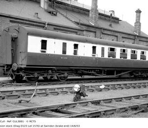 CUL3881