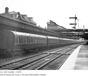 CUL3883