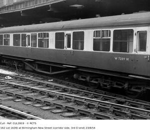 CUL3919