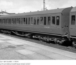 CUL3921