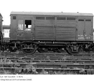 CUL3929