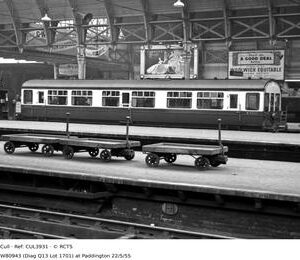 CUL3931