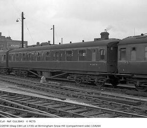 CUL3943
