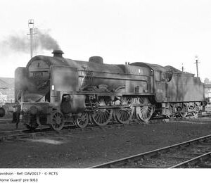 DAV0017