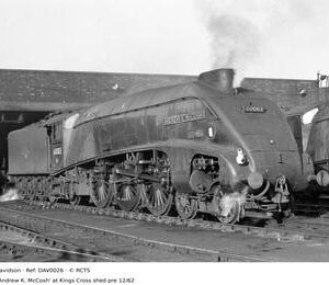 DAV0026