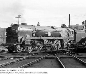 DAV0041