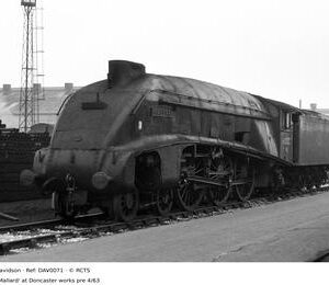 DAV0071