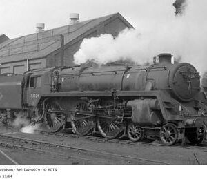 DAV0079