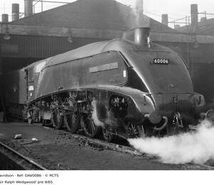 DAV0086