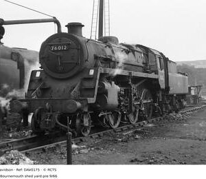 DAV0175