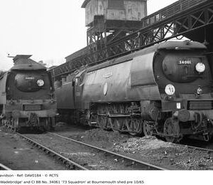 DAV0184