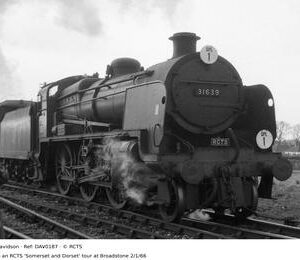 DAV0187