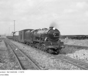 DAV0196