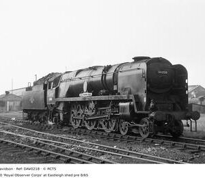DAV0218
