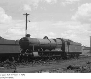 DAV0229