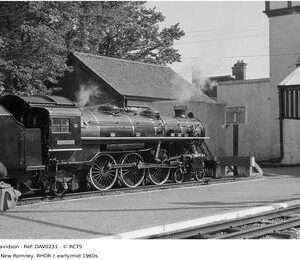 DAV0231