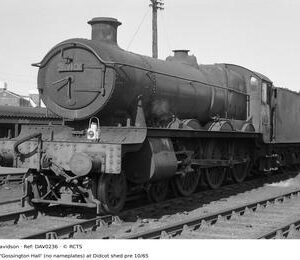 DAV0236
