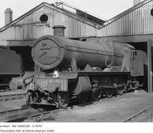 DAV0239