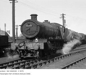 DAV0240