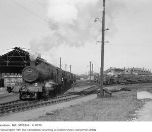 DAV0246