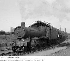 DAV0247