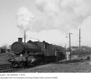 DAV0248