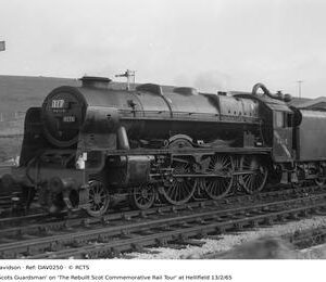 DAV0250
