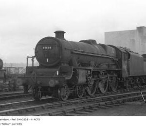 DAV0251