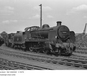 DAV0262