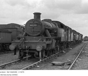 DAV0290