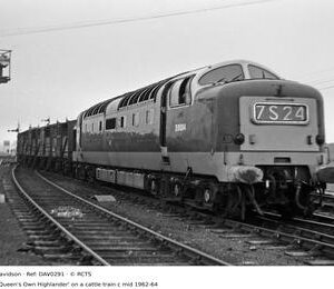 DAV0291