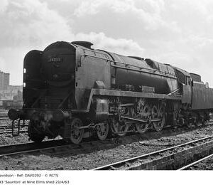 DAV0292