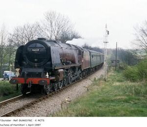 DUN0376C