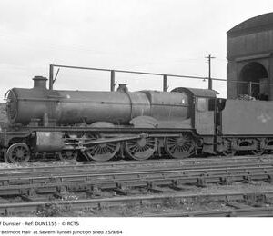 DUN1155