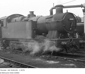 DUN1183