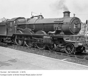 DUN1229