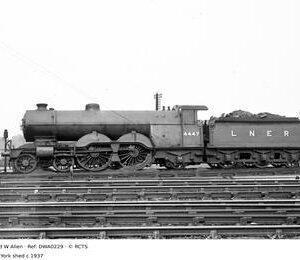 DWA0229