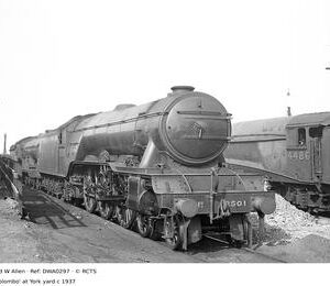 DWA0297